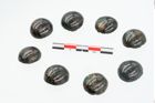 Foto von Bronzeniet (NHMW-PRAE-025909)